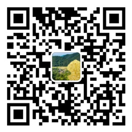 时时中彩票登录